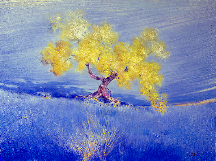 Carlo Cordua 60x80 N 5 Carlo Cordua 60x80 N 5